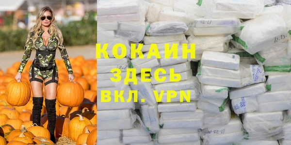тгк Алексин