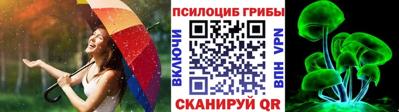 Псилоцибиновые грибы Psilocybine cubensis  где можно купить   сайты даркнета какой сайт  Таштагол 